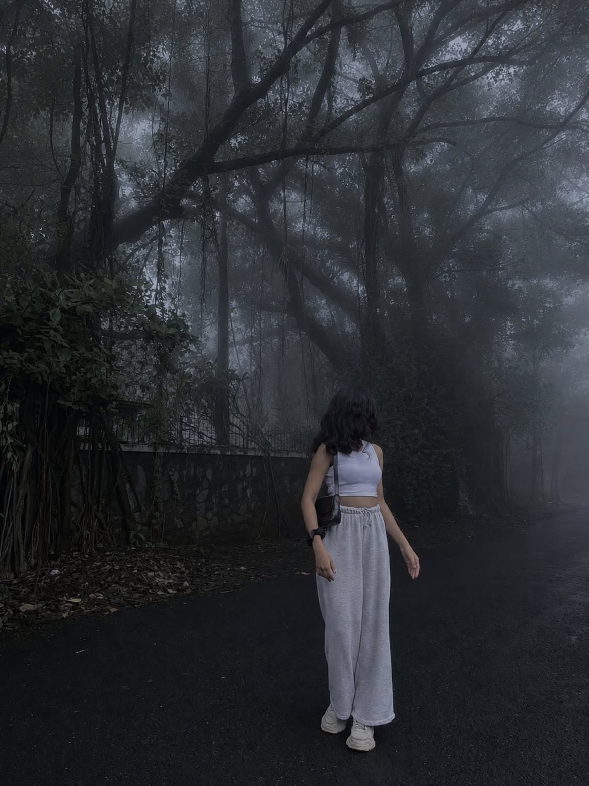 Cinematic Foggy Forest Ai Photo Editing Prompt